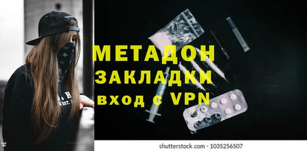 индика Аркадак