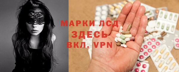 индика Аркадак