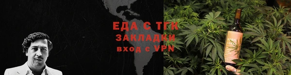 индика Аркадак