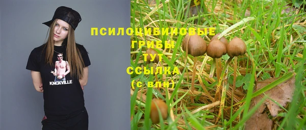 индика Аркадак