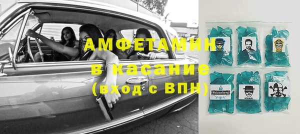 индика Аркадак
