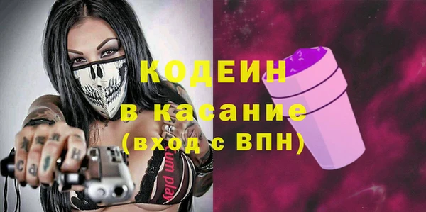 индика Аркадак