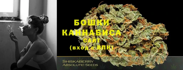 ешки Арсеньев