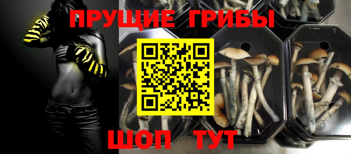 Галлюциногенные грибы Magic Shrooms Реутов