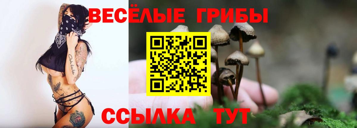 Галлюциногенные грибы Psilocybine cubensis  Псилоцибиновые грибы мухоморы  Реутов  Вход с VPN 
